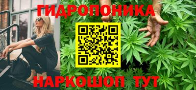 мяу мяу мука Ставрополь