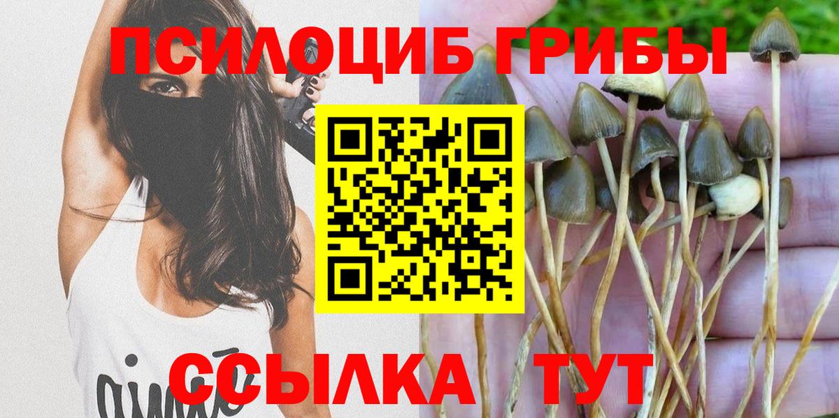 Галлюциногенные грибы Psilocybine cubensis  Вход с VPN  где можно купить   Нурлат 